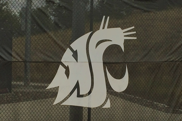 Even One Color Can Have An Impact