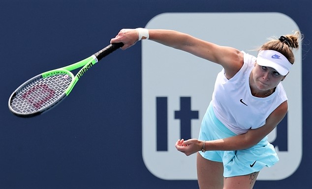 Custom Tennis Windscreen To Your Exact Specs