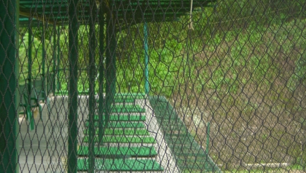 See Your Athletic Netting Choices