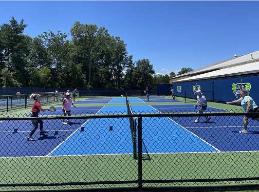 Pickleball Windscreen - Image 3